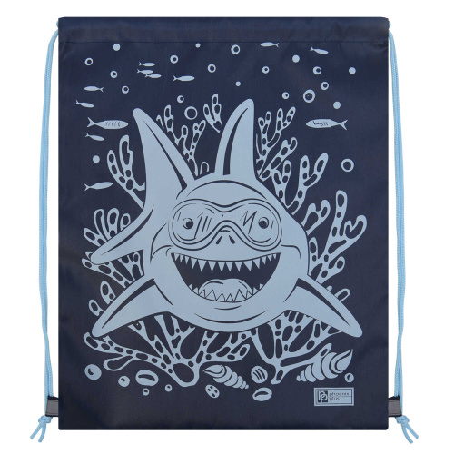 мешок для обуви АКУЛА 54286