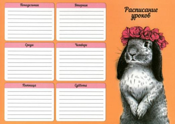 расписание уроков А4