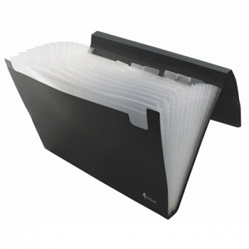 Папка на 12 отделений А4 черная, Forpus FO21641