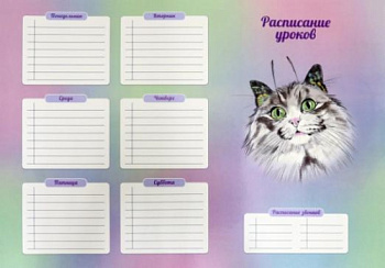 расписание уроков А3