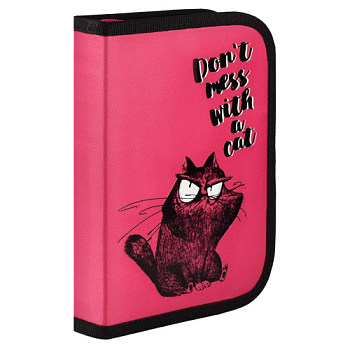 пенал КРЭЙЗИ КОТ 58348