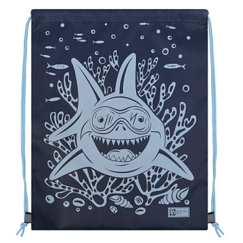 мешок для обуви АКУЛА 54286